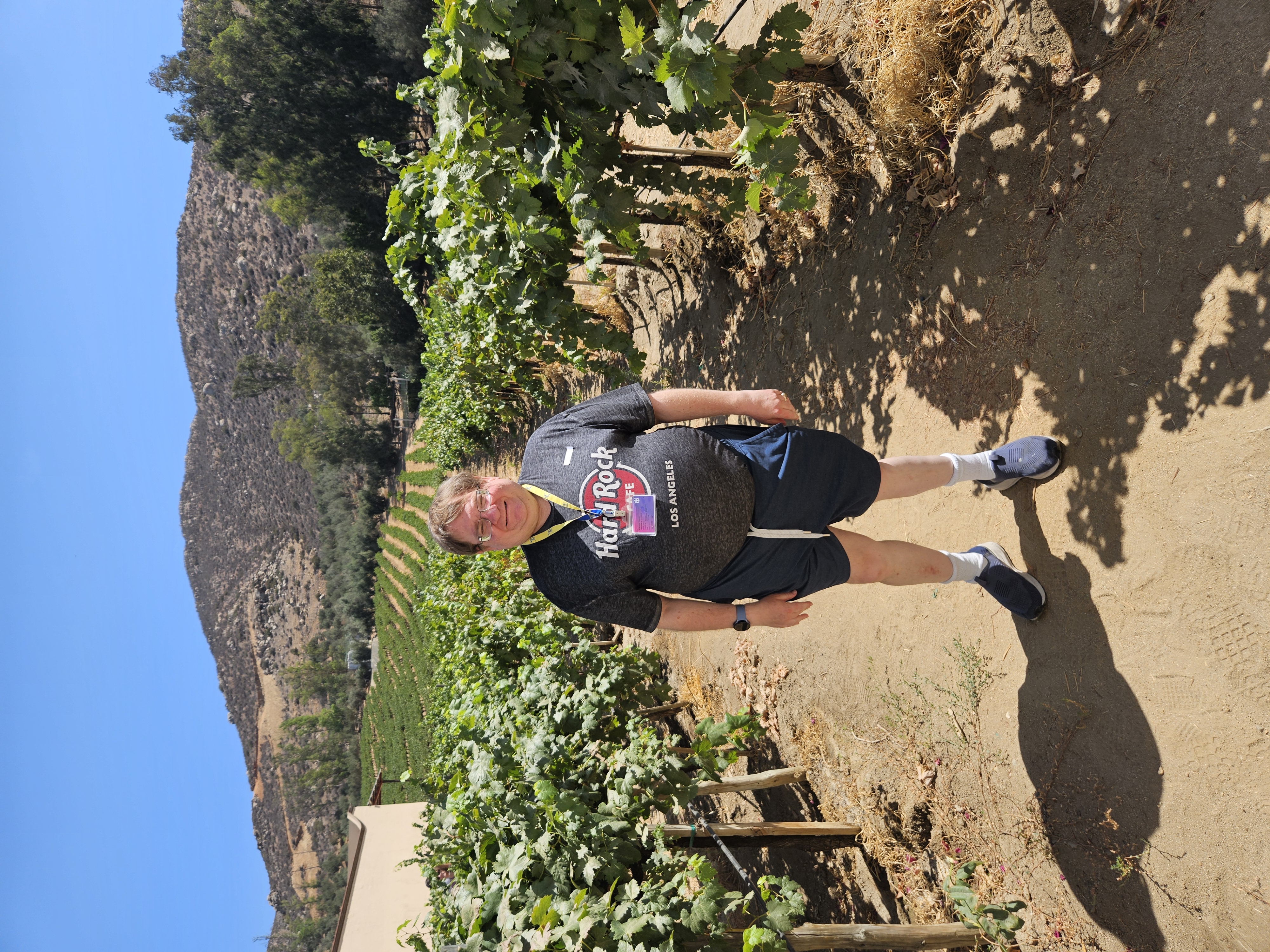 Cruise Brothers Travel Agent steven evans